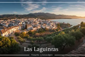 Townhouses for sale in Las Lagunas Mijas